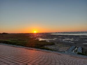 20220628_215522_024858-min