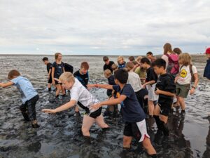 PXL_20230829_160849760