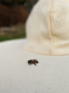 PXL_20231102_132445846.PORTRAIT