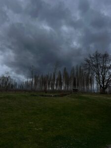 IMG-20240405-WA0015