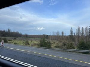 IMG-20240405-WA0016