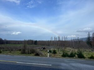 IMG-20240405-WA0017