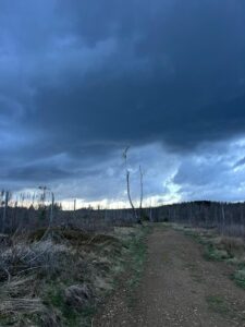 IMG-20240405-WA0019