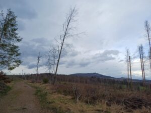 IMG-20240405-WA0020