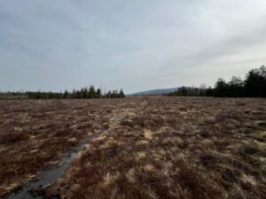 IMG-20240407-WA0006