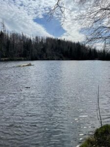 IMG_20240406_200055_315
