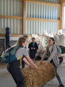 PXL_20240524_072013904.PORTRAIT