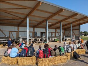 PXL_20240524_072245612