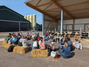 PXL_20240524_072458463