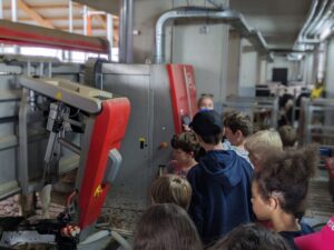 PXL_20240524_074302083.PORTRAIT