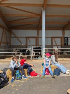 PXL_20240524_083246354