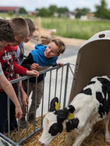 PXL_20240524_083354696.PORTRAIT