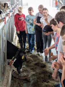 PXL_20240524_094725941.PORTRAIT