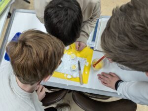 PXL_20241105_102354136