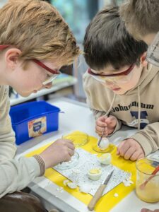 PXL_20241105_102358290.PORTRAIT