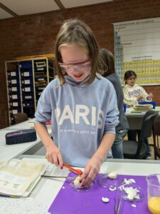 PXL_20241105_102500370.MP