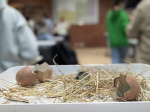 PXL_20241105_102550875.PORTRAIT