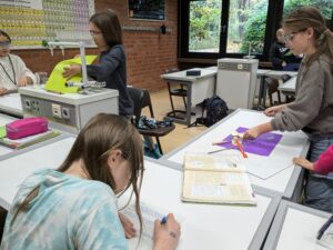 PXL_20241105_102650189.MP