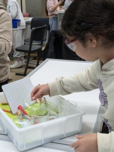 PXL_20241105_102741074